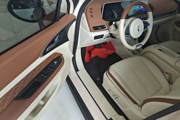 Used ORA Good Cat 2023 401 km Standard Range Luxury Version Lithium Iron Phosphate Driver Seat