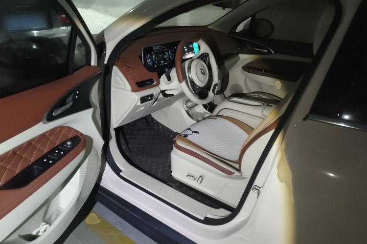 Used ORA Good Cat 2023 401 km Standard Range Luxury Version Lithium Iron Phosphate Driver Seat