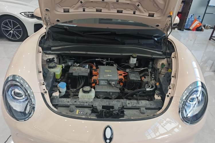 Used ORA Good Cat 2023 401 km Standard Range Luxury Version Lithium Iron Phosphate Engine Bay