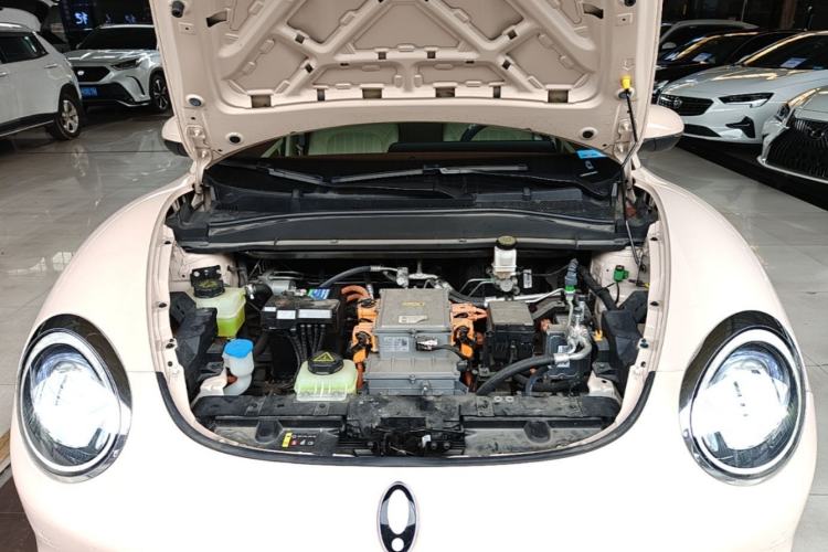 Used ORA Good Cat 2023 401 km Standard Range Premium Version Lithium Iron Phosphate Engine Bay