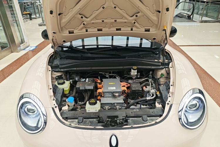 Used ORA Good Cat 2023 401 km Standard Range Premium Version Lithium Iron Phosphate Engine Bay