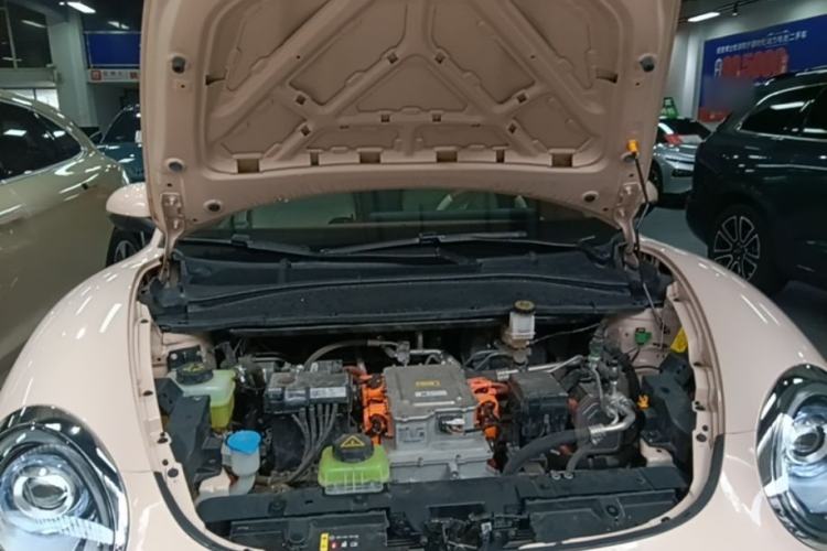 Used ORA Good Cat 2023 401 km Standard Range Prestige Version Lithium Iron Phosphate Engine Bay