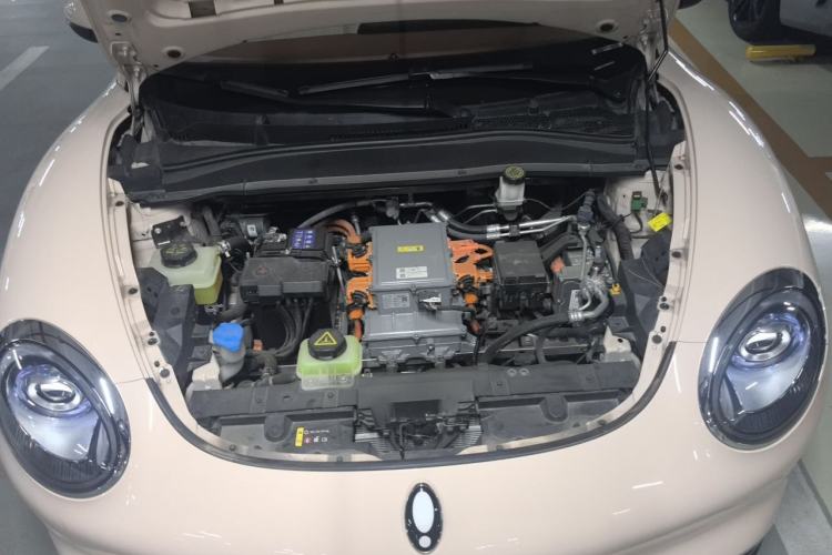 Used ORA Good Cat 2023 401 km Standard Range Premium Version Lithium Iron Phosphate Engine Bay