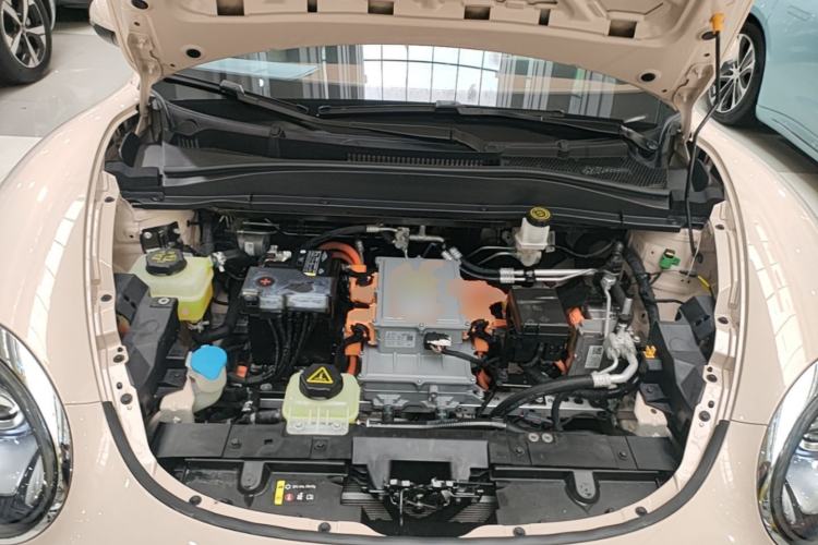 Used ORA Good Cat 2023 401 km Standard Range Premium Version Lithium Iron Phosphate Engine Bay