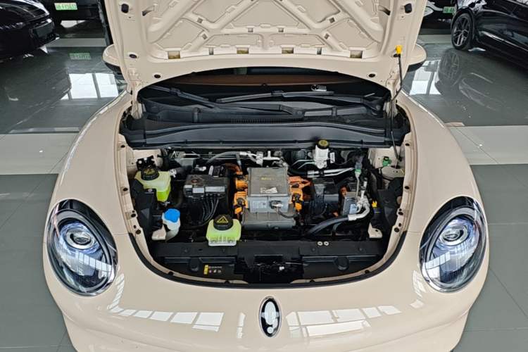Used ORA Good Cat 2023 401 km Standard Range Luxury Version Lithium Iron Phosphate Engine Bay