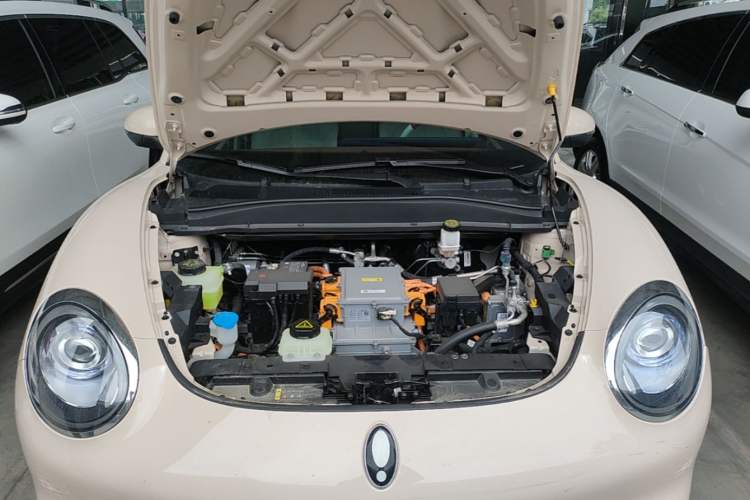 Used ORA Good Cat 2023 401 km Standard Range Premium Version Lithium Iron Phosphate Engine Bay