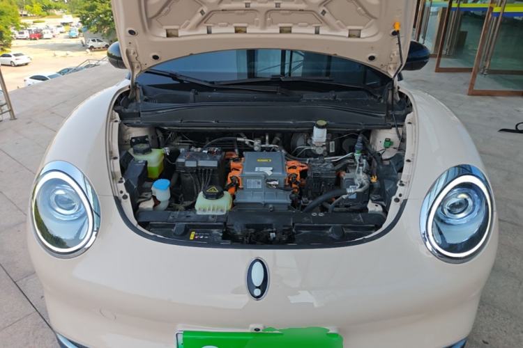 Used ORA Good Cat 2023 401 km Standard Range Comfort Version Lithium Iron Phosphate Engine Bay