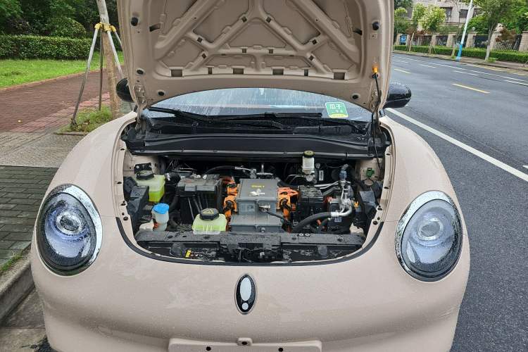 Used ORA Good Cat 2023 401 km Standard Range Premium Version Lithium Iron Phosphate Engine Bay