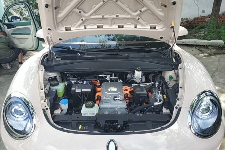 Used ORA Good Cat 2023 401 km Standard Range Luxury Version Lithium Iron Phosphate Engine Bay