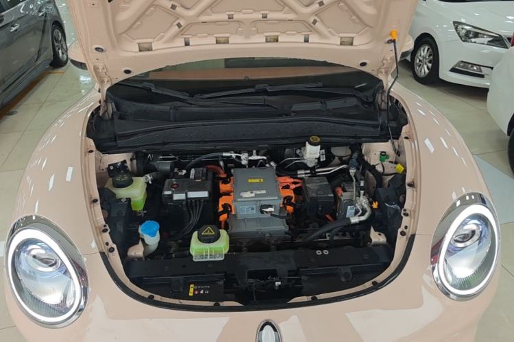 Used ORA Good Cat 2023 401 km Standard Range Luxury Version Ternary Lithium Engine Bay