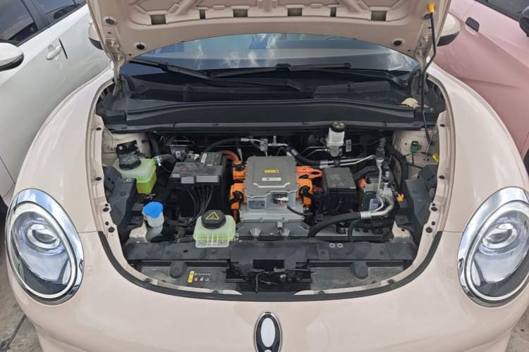 Used ORA Good Cat 2023 401 km Standard Range Prestige Version Lithium Iron Phosphate Engine Bay