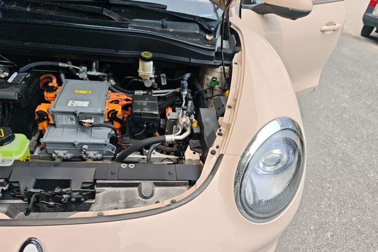 Used ORA Good Cat 2023 401 km Standard Range Prestige Version Lithium Iron Phosphate Engine Bay Left