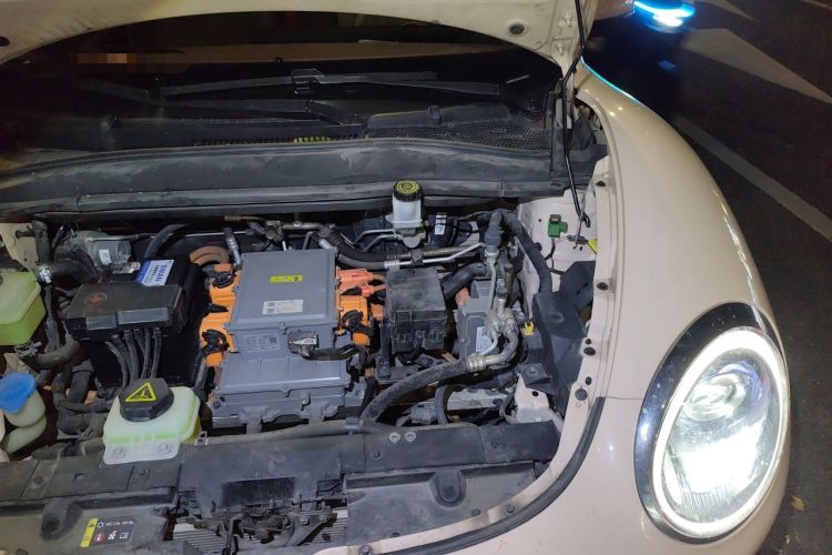 Used ORA Good Cat 2023 401 km Standard Range Premium Version Lithium Iron Phosphate Engine Bay Left