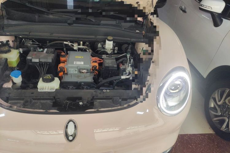 Used ORA Good Cat 2023 401 km Standard Range Premium Version Lithium Iron Phosphate Engine Bay Left