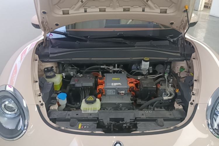 Used ORA Good Cat 2023 401 km Standard Range Premium Version Lithium Iron Phosphate Engine Bay