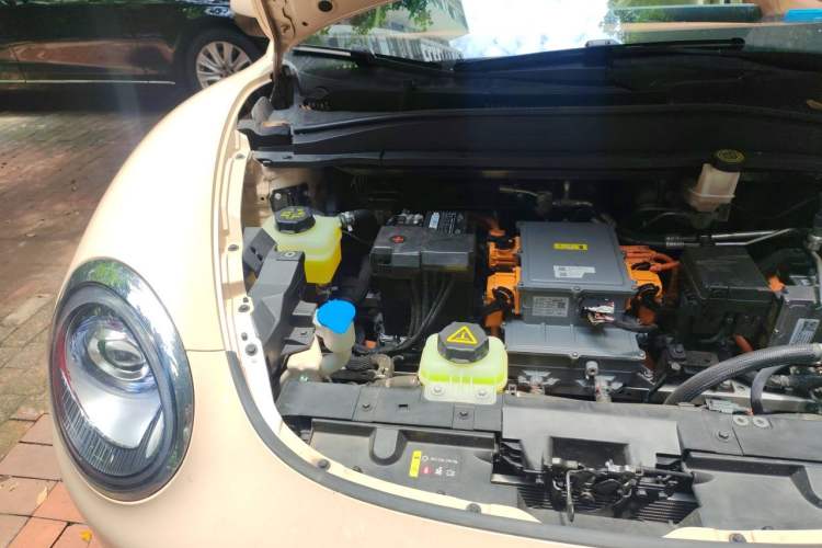 Used ORA Good Cat 2023 401 km Standard Range Prestige Version Lithium Iron Phosphate Engine Bay Right