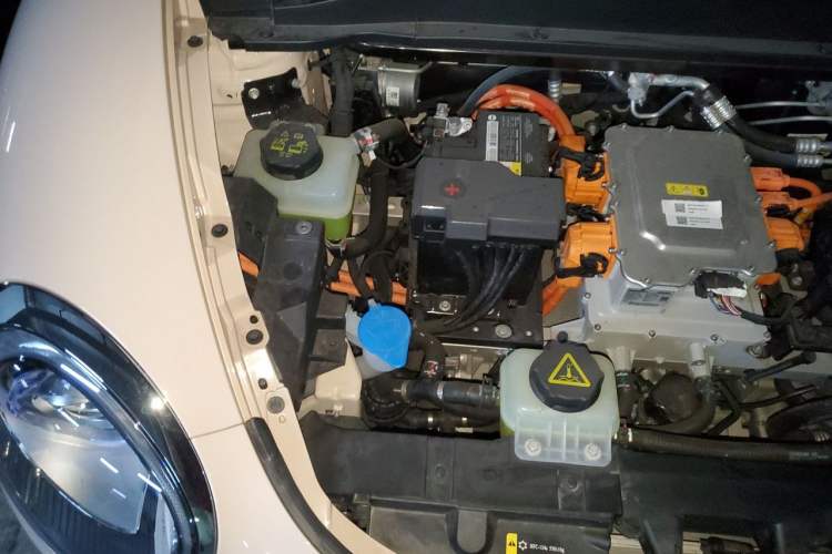 Used ORA Good Cat 2023 401 km Standard Range Luxury Version Lithium Iron Phosphate Engine Bay Right