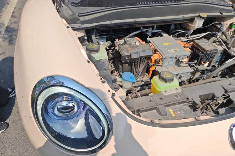 Used ORA Good Cat 2023 401 km Standard Range Luxury Version Lithium Iron Phosphate Engine Bay Right