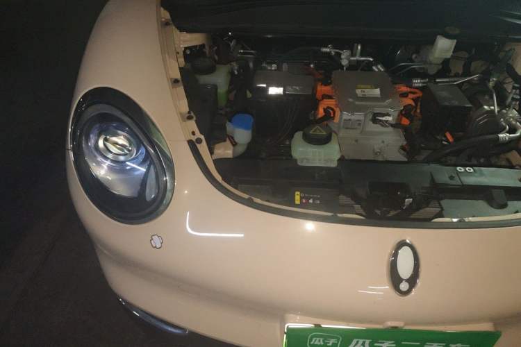 Used ORA Good Cat 2023 401 km Standard Range Luxury Version Lithium Iron Phosphate Engine Bay Right