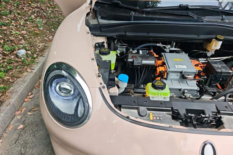 Used ORA Good Cat 2023 401 km Standard Range Prestige Version Lithium Iron Phosphate Engine Bay Right