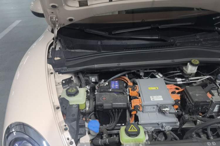 Used ORA Good Cat 2023 401 km Standard Range Premium Version Lithium Iron Phosphate Engine Bay Right