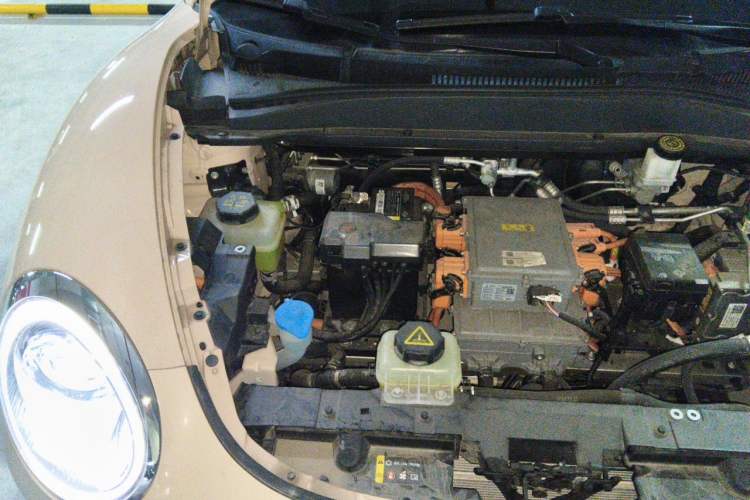 Used ORA Good Cat 2023 401 km Standard Range Luxury Version Lithium Iron Phosphate Engine Bay Right