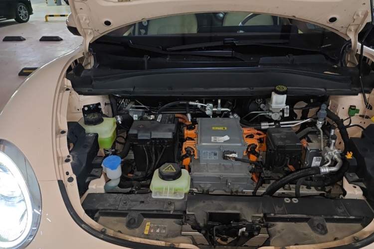 Used ORA Good Cat 2023 401 km Standard Range Premium Version Lithium Iron Phosphate Engine Bay Right