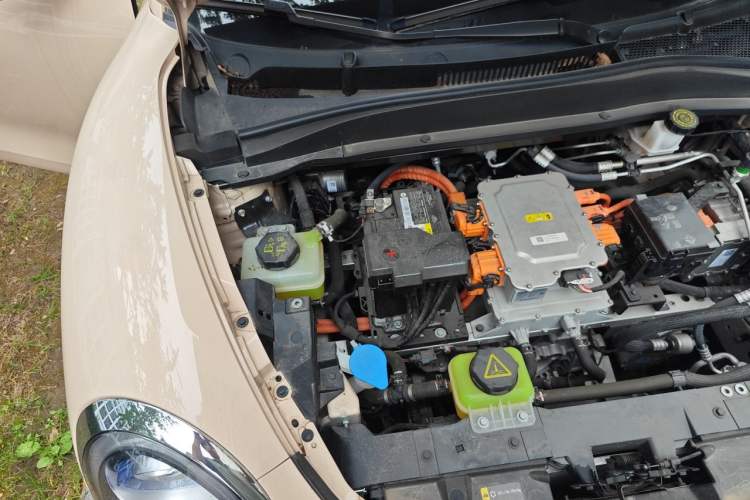 Used ORA Good Cat 2023 401 km Standard Range Premium Version Lithium Iron Phosphate Engine Bay Right