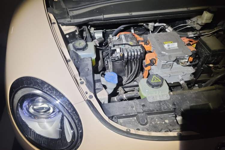 Used ORA Good Cat 2023 401 km Standard Range Luxury Version Lithium Iron Phosphate Engine Bay Right