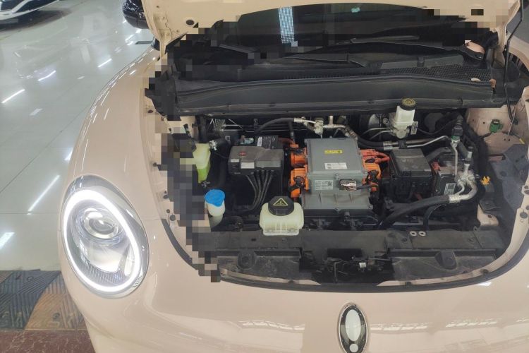 Used ORA Good Cat 2023 401 km Standard Range Premium Version Lithium Iron Phosphate Engine Bay Right
