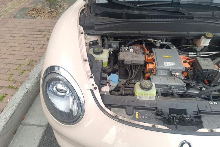 Used ORA Good Cat 2023 401 km Standard Range Luxury Version Lithium Iron Phosphate Engine Bay Right