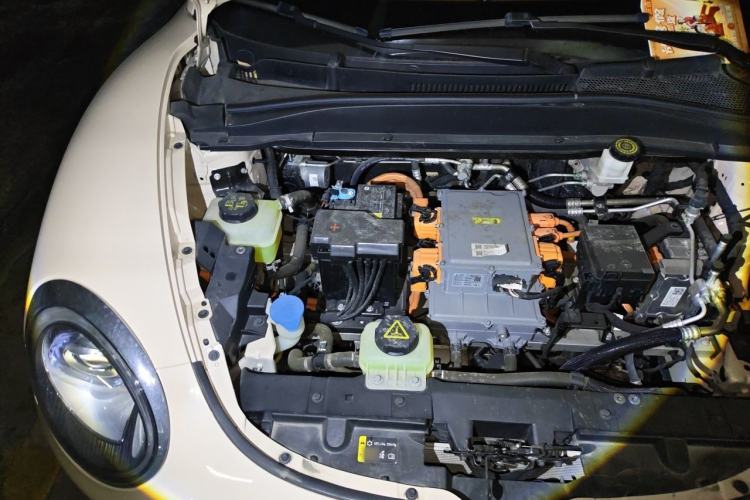 Used ORA Good Cat 2023 401 km Standard Range Premium Version Lithium Iron Phosphate Engine Bay Right