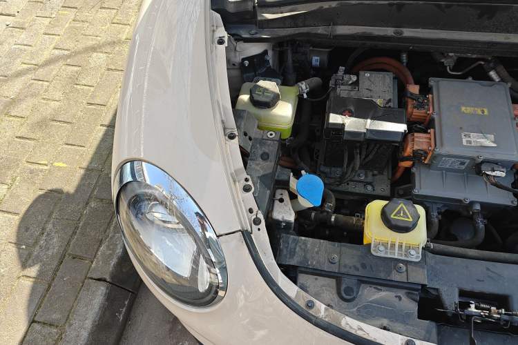 Used ORA Good Cat 2023 401 km Standard Range Premium Version Lithium Iron Phosphate Engine Bay Right