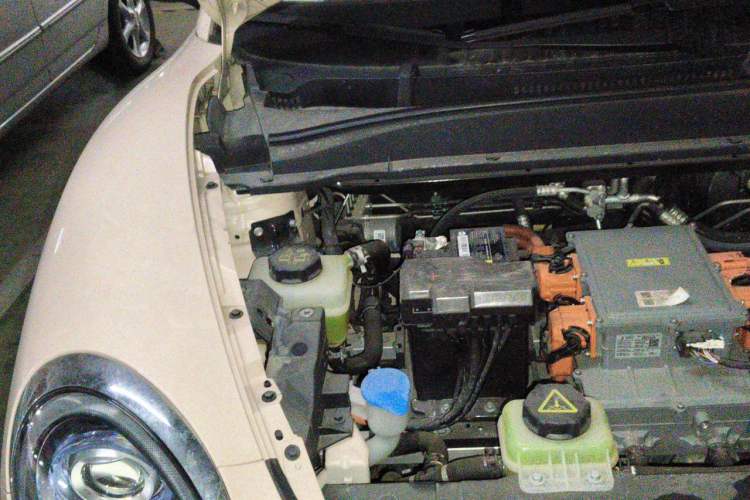 Used ORA Good Cat 2023 401 km Standard Range Luxury Version Lithium Iron Phosphate Engine Bay Right