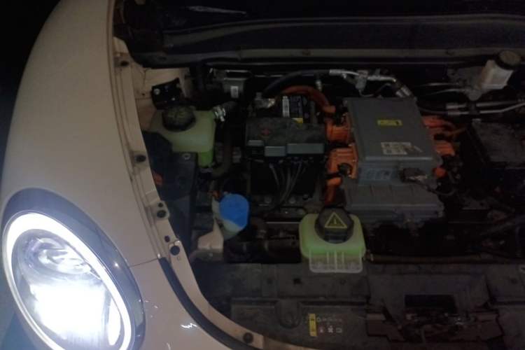 Used ORA Good Cat 2023 401 km Standard Range Premium Version Lithium Iron Phosphate Engine Bay Right