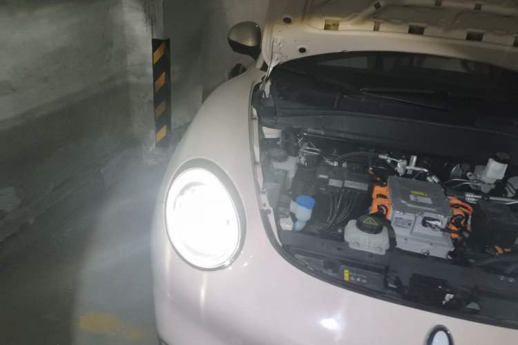 Used ORA Good Cat 2023 401 km Standard Range Luxury Version Lithium Iron Phosphate Engine Bay Right