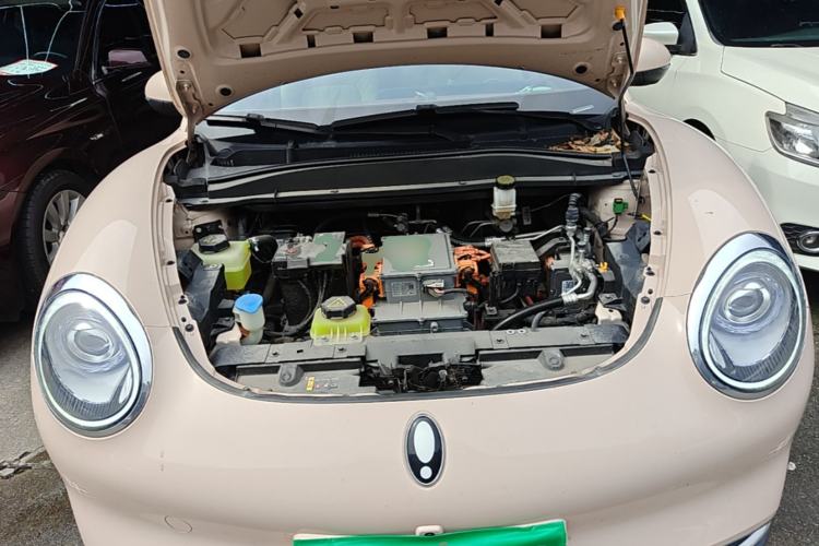 Used ORA Good Cat 2023 401 km Standard Range Comfort Version Lithium Iron Phosphate Engine Bay