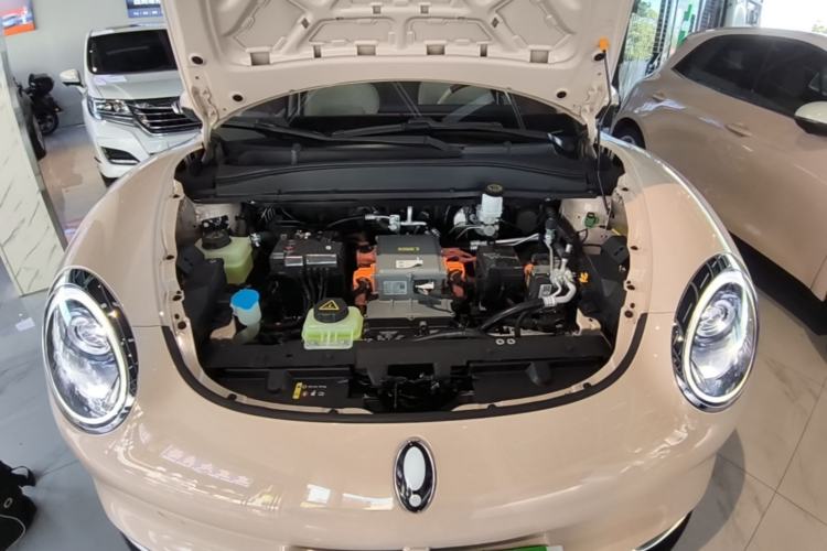 Used ORA Good Cat 2023 401 km Standard Range Premium Version Lithium Iron Phosphate Engine Bay