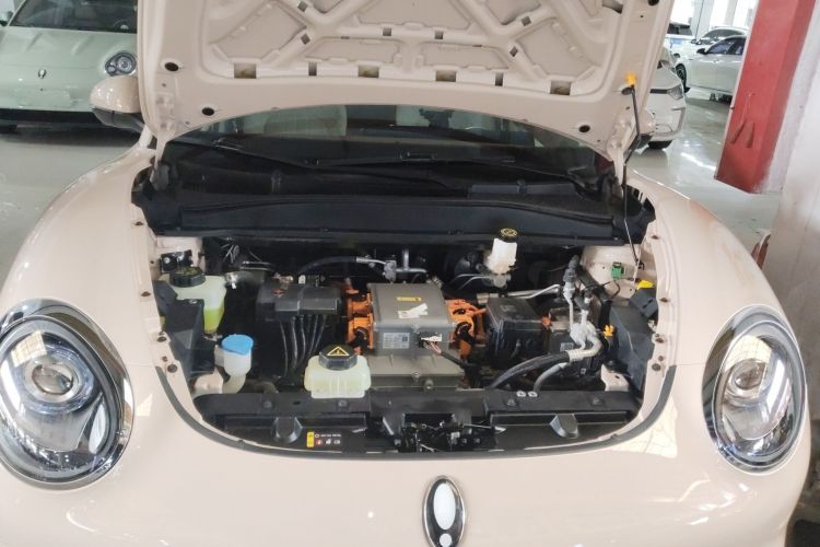 Used ORA Good Cat 2023 401 km Standard Range Luxury Version Lithium Iron Phosphate Engine Bay