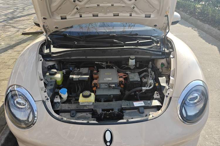 Used ORA Good Cat 2023 401 km Standard Range Premium Version Lithium Iron Phosphate Engine Bay