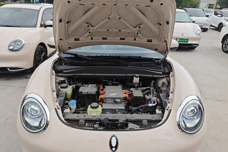 Used ORA Good Cat 2023 401 km Standard Range Premium Version Lithium Iron Phosphate Engine Bay