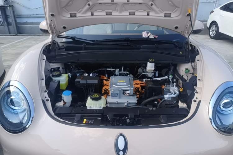 Used ORA Good Cat 2023 401 km Standard Range Premium Version Lithium Iron Phosphate Engine Bay