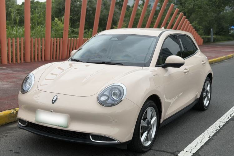 Used ORA Good Cat 2023 401 km Standard Range Luxury Version Lithium Iron Phosphate Guazi used car, China used car export, Used car for sale, Used  cars, Cheapest cars for sale
