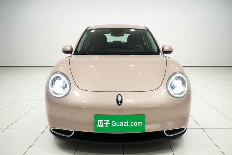 Used ORA Good Cat 2023 401 km Standard Range Prestige Version Lithium Iron Phosphate Front