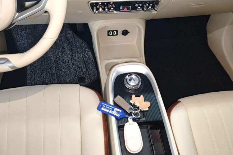 Used ORA Good Cat 2023 401 km Standard Range Luxury Version Lithium Iron Phosphate Gear Lever