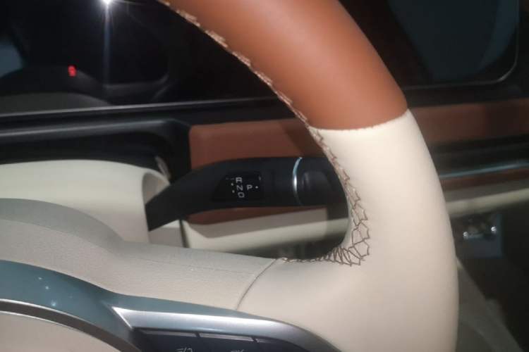 Used ORA Good Cat 2023 401 km Standard Range Luxury Version Lithium Iron Phosphate Gear Lever