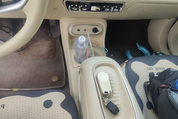 Used ORA Good Cat 2023 401 km Standard Range Luxury Version Lithium Iron Phosphate Gear Lever