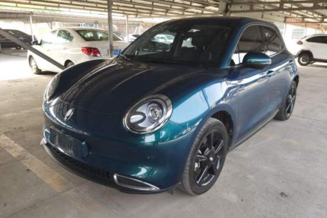 Used ORA Good Cat 2023 401 km Standard Range Luxury Version Ternary Lithium
