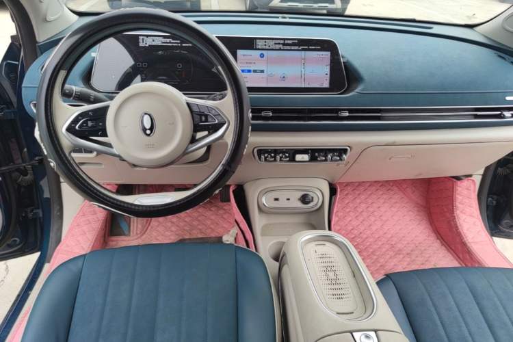 Used ORA Good Cat 2023 401 km Standard Range Luxury Version Lithium Iron Phosphate Audio And AC Panel