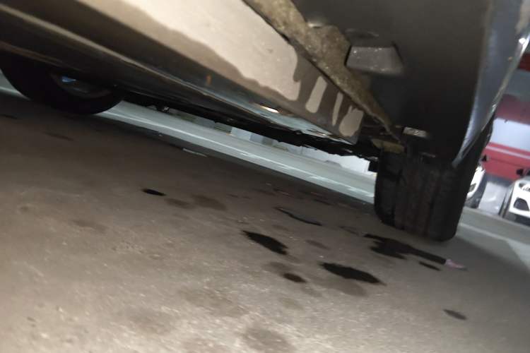 Used ORA Good Cat 2023 401 km Standard Range Premium Version Lithium Iron Phosphate Chassis Front Right
